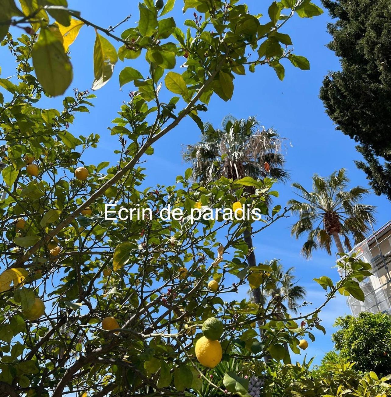 Casa Andrea Appartement Tout A Pied Avec Grand Jardin Sanary-sur-Mer Bagian luar foto